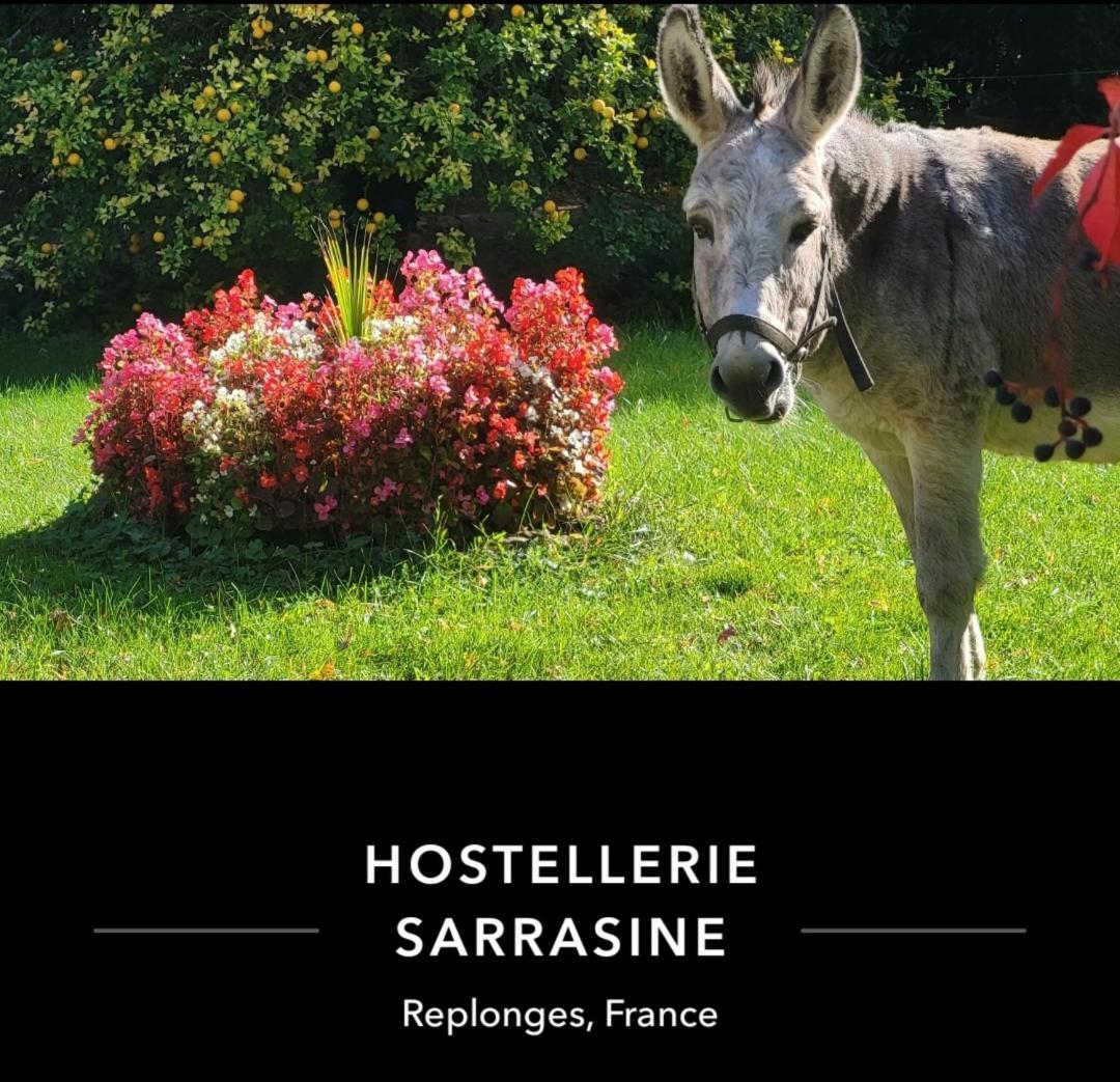 Hostellerie Sarrasine - Macon Est 레프롱게스 외부 사진